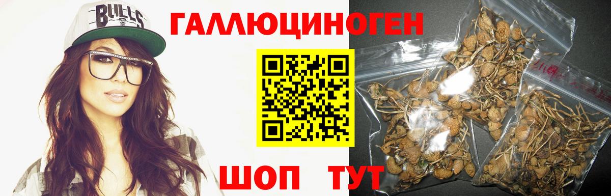 Ковров  Псилоцибиновые грибы Psilocybine cubensis  Вход с VPN  Псилоцибиновые грибы Cubensis 